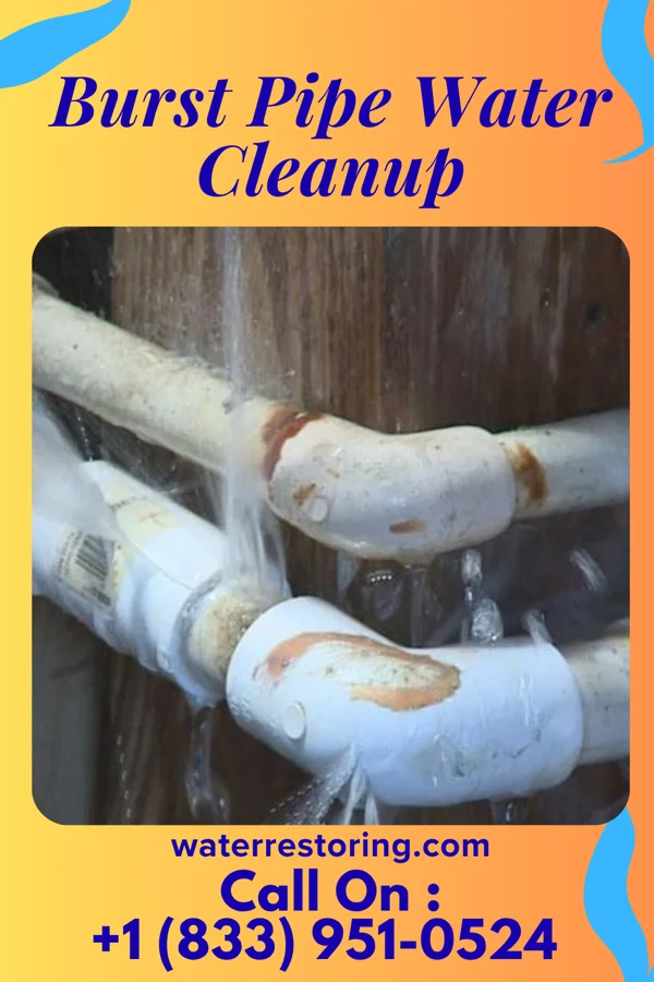 Burst Pipe Water Cleanup in Lake Forest, CA